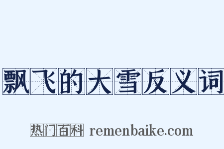 飘飞的大雪反义词是什么意思的图片